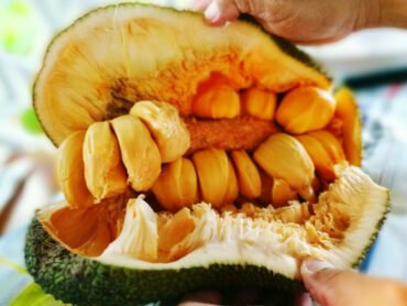 Chocolate Jack Fruit