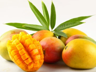 Alphonso Mango