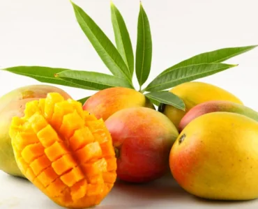 alphonso alphonso
