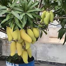 images (1) images (1)