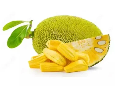 Vietnam Super Early Jackfruit