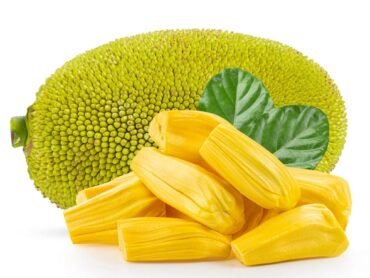 Gumless Jackfruit