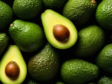  Avocado