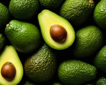 avocado-1_335cdafd-3f2d-4de4-a016-37f8476e6ecf avocado-1_335cdafd-3f2d-4de4-a016-37f8476e6ecf