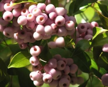 images (1) images (1)