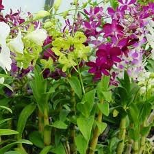 images (7) images (7)
