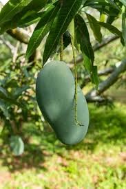 images (8) images (8)