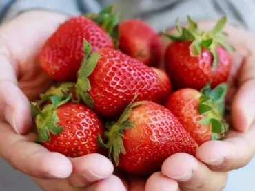 Strawberry