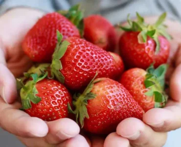 strawberries-1296x728-feature strawberries-1296x728-feature