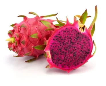 dragonfruit dragonfruit